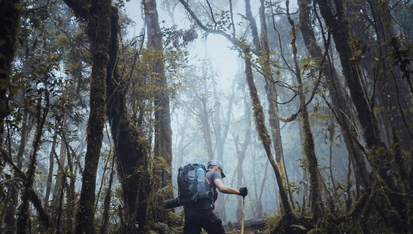 a man carrying a camera in the middle of the woods