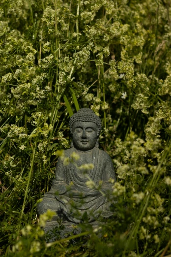 a buddha statue sitting in the middle of a bush