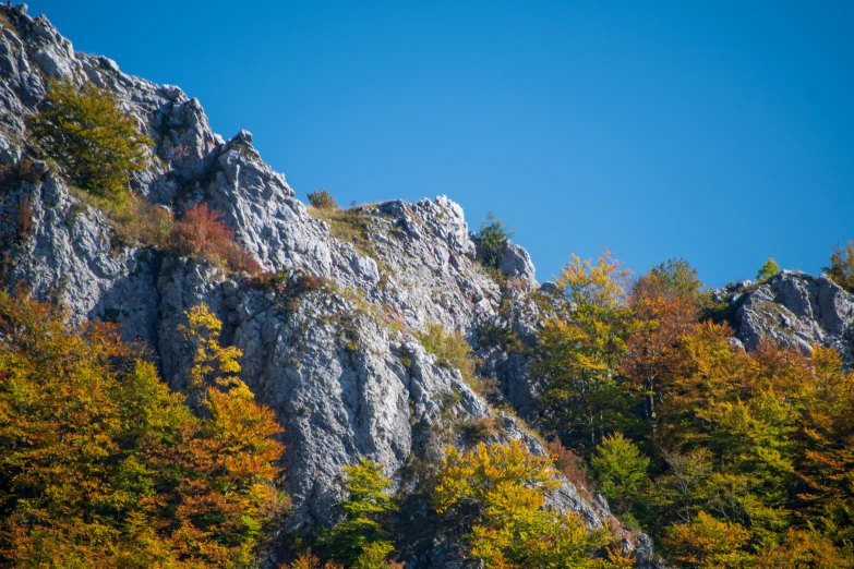 a scenic mountain scene with lots of colorful trees