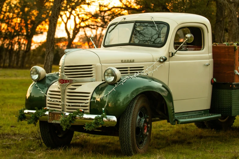 a green vintage truck parked in a grassy area