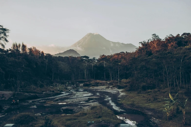 the woods near a small mountain have a patch of water