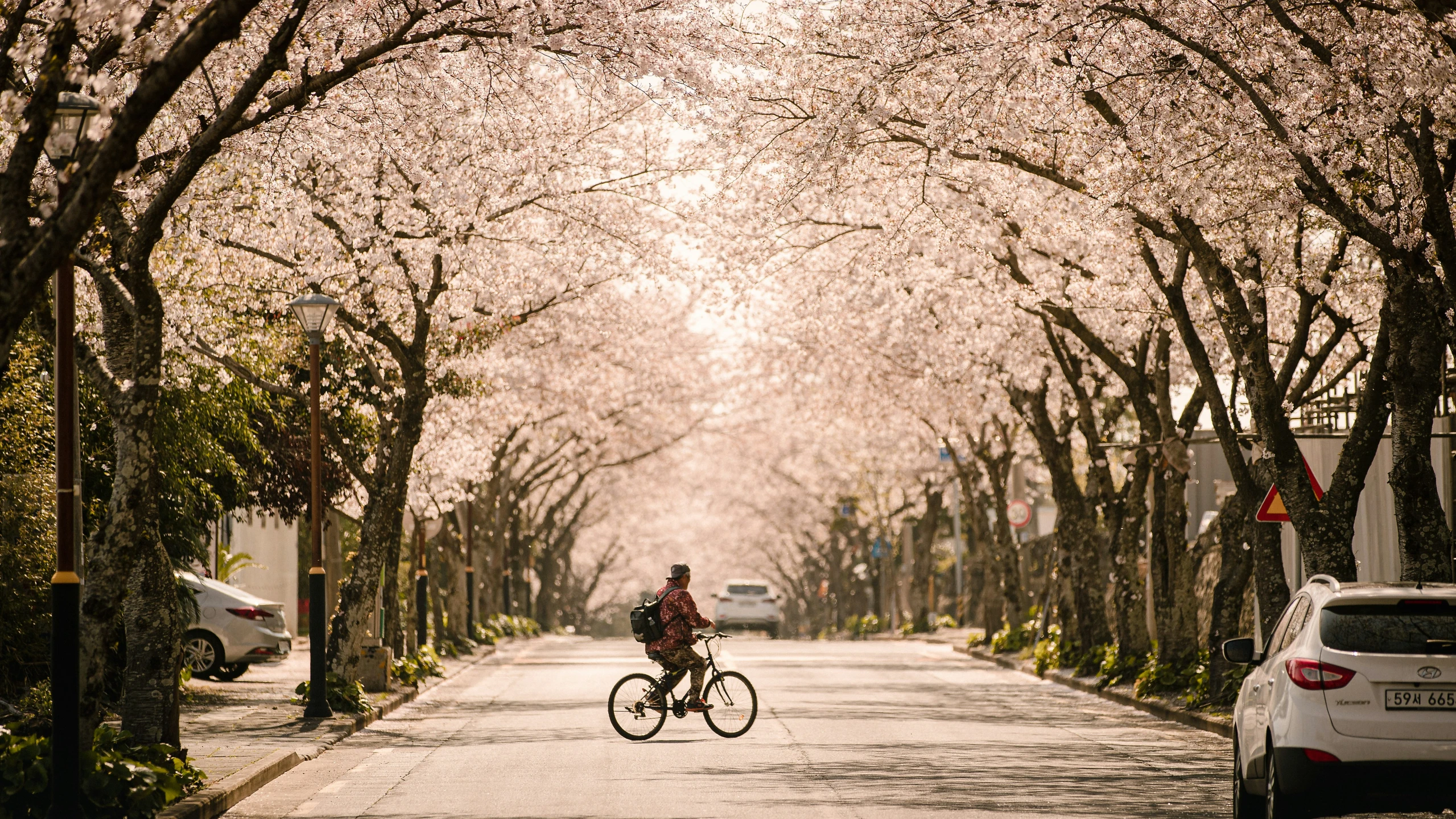 a woman riding a bike down a tree lined street