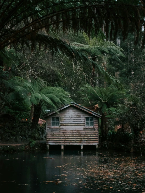 small wooden cabin sitting on the edge of water surrounded by trees