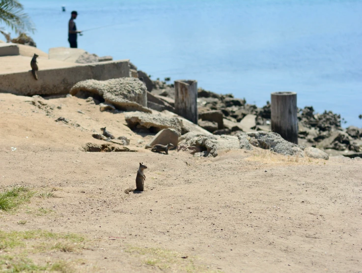 two people on the water line with the shore in the background