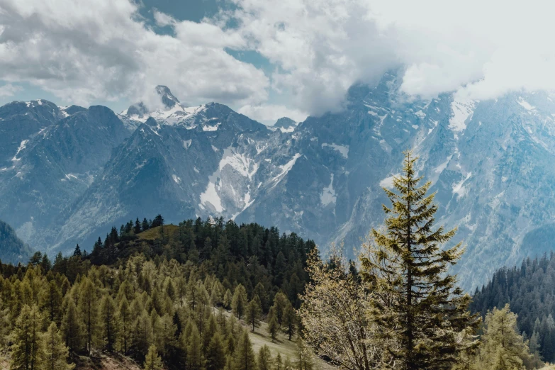 a mountain with lots of trees on it and clouds in the distance