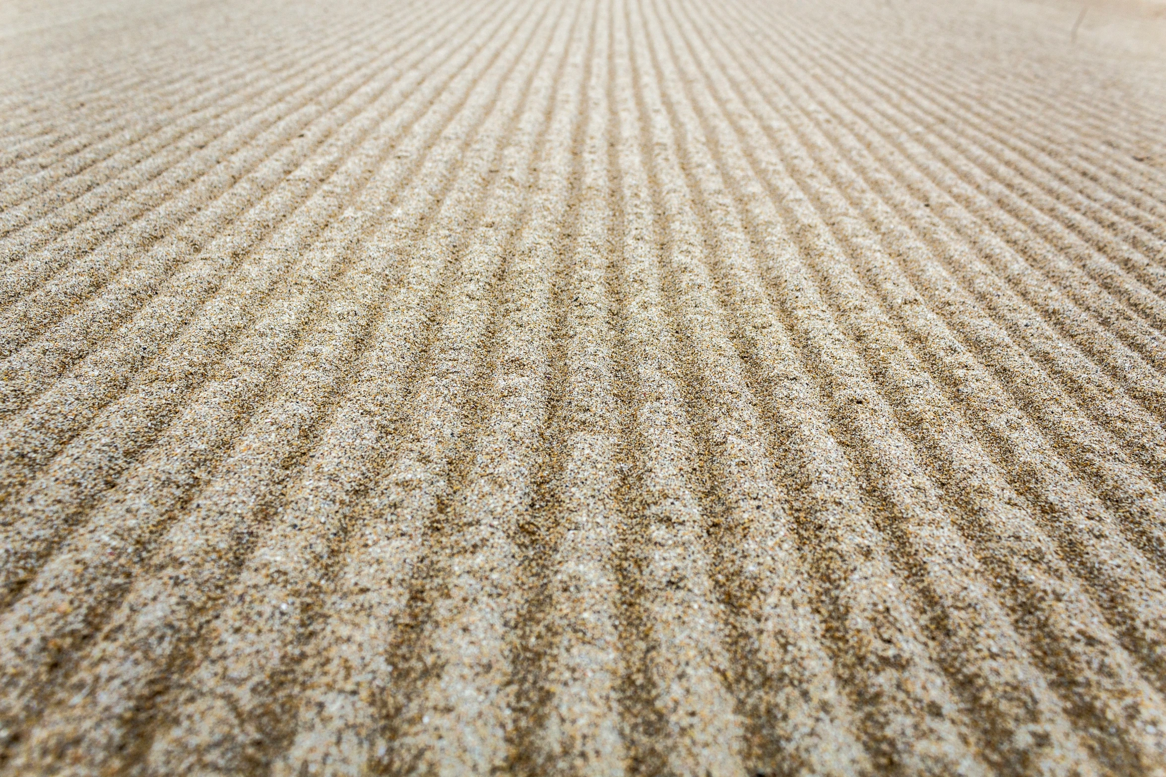 a close up picture of the dirt in an outdoor area