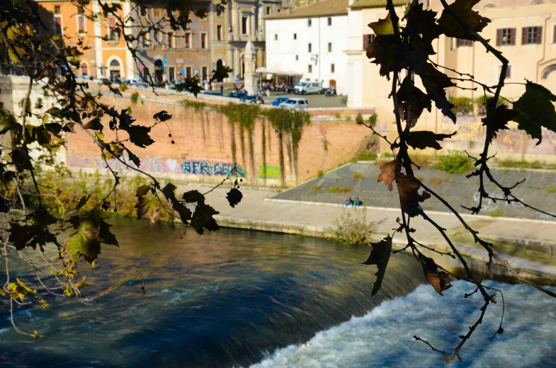 a river runs through a large city and leaves are on the tree nch