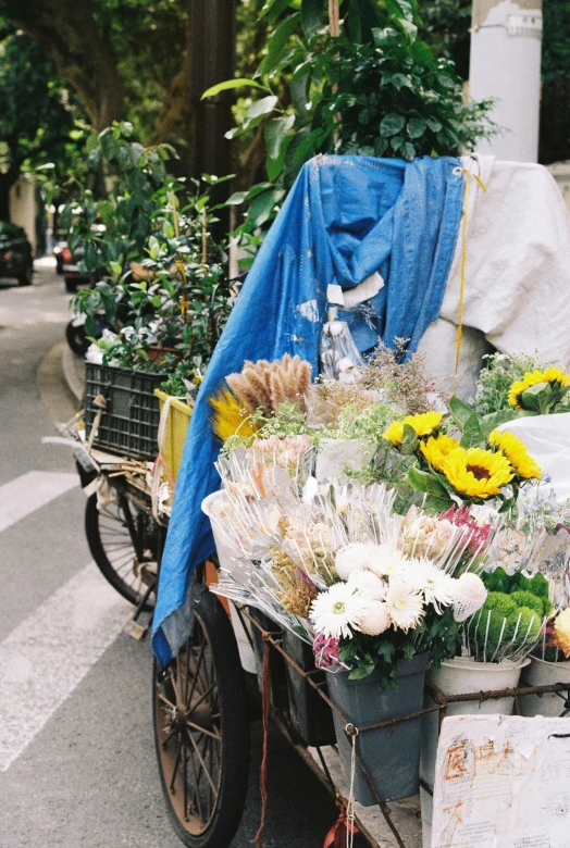 the cart has many flowers and other plants in it
