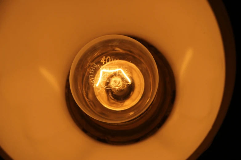 view through an open toilet bowl looking down at a round water fountain