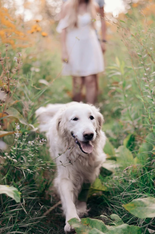 a person standing with her dog in the field