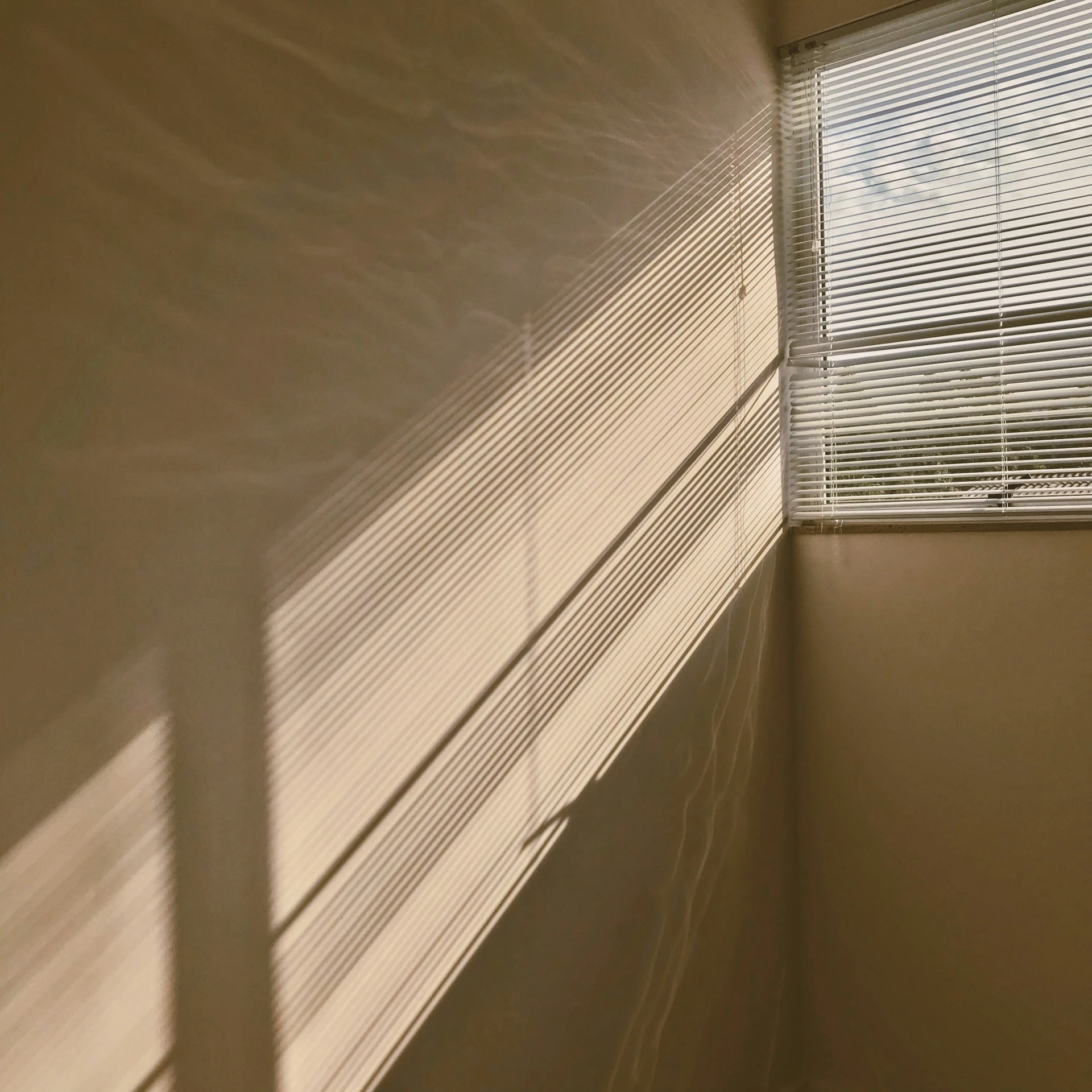 the blinds are partially closed by the window