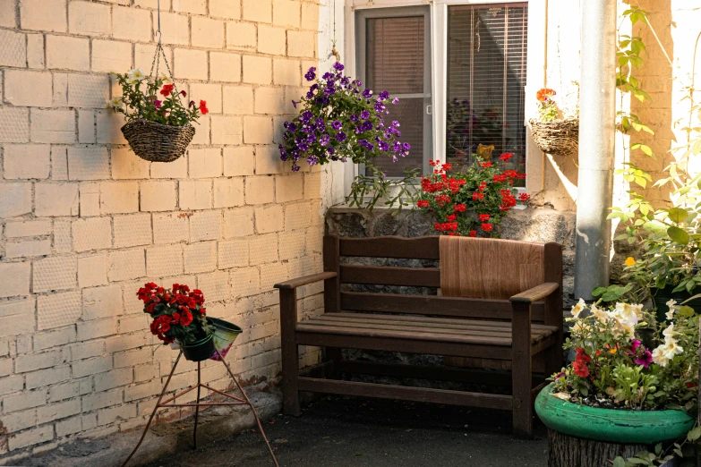a garden area with benches and hanging flower pots