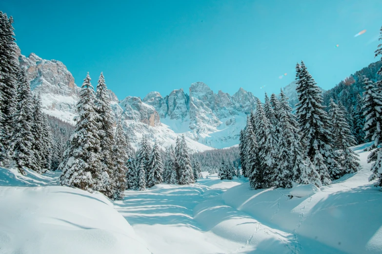 the snowy mountains are full of trees and snow