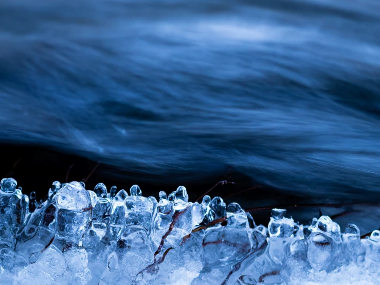 frozen blue ice like material with red stems growing in water