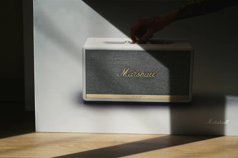 a speaker resting against a wall