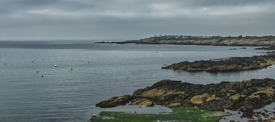 there are many birds floating in the ocean and rocks