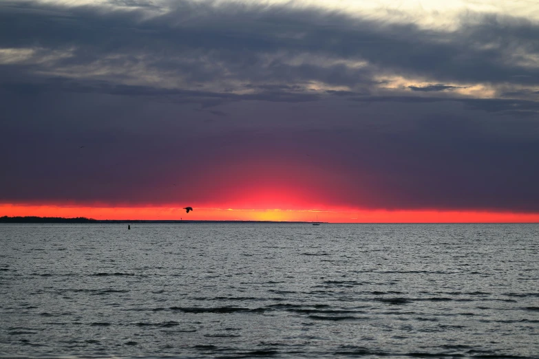 two parasailers out on the water in front of a colorful sunset