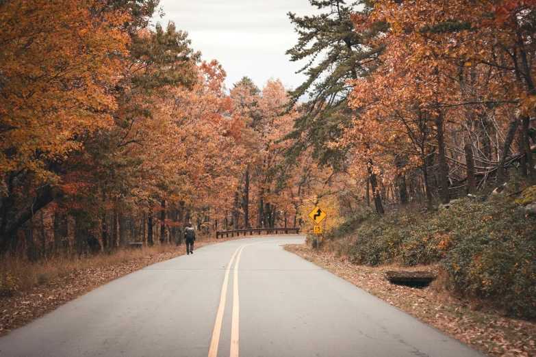 a man riding on the back of a bike down a road surrounded by trees