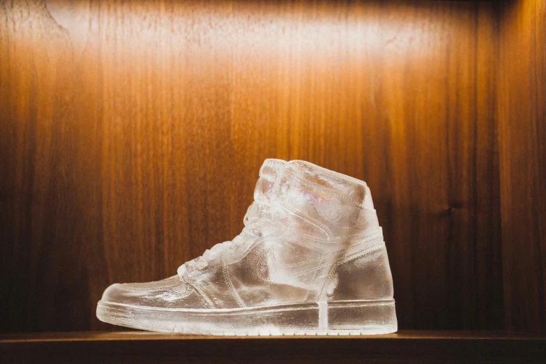 an ice boot is shown on a shelf