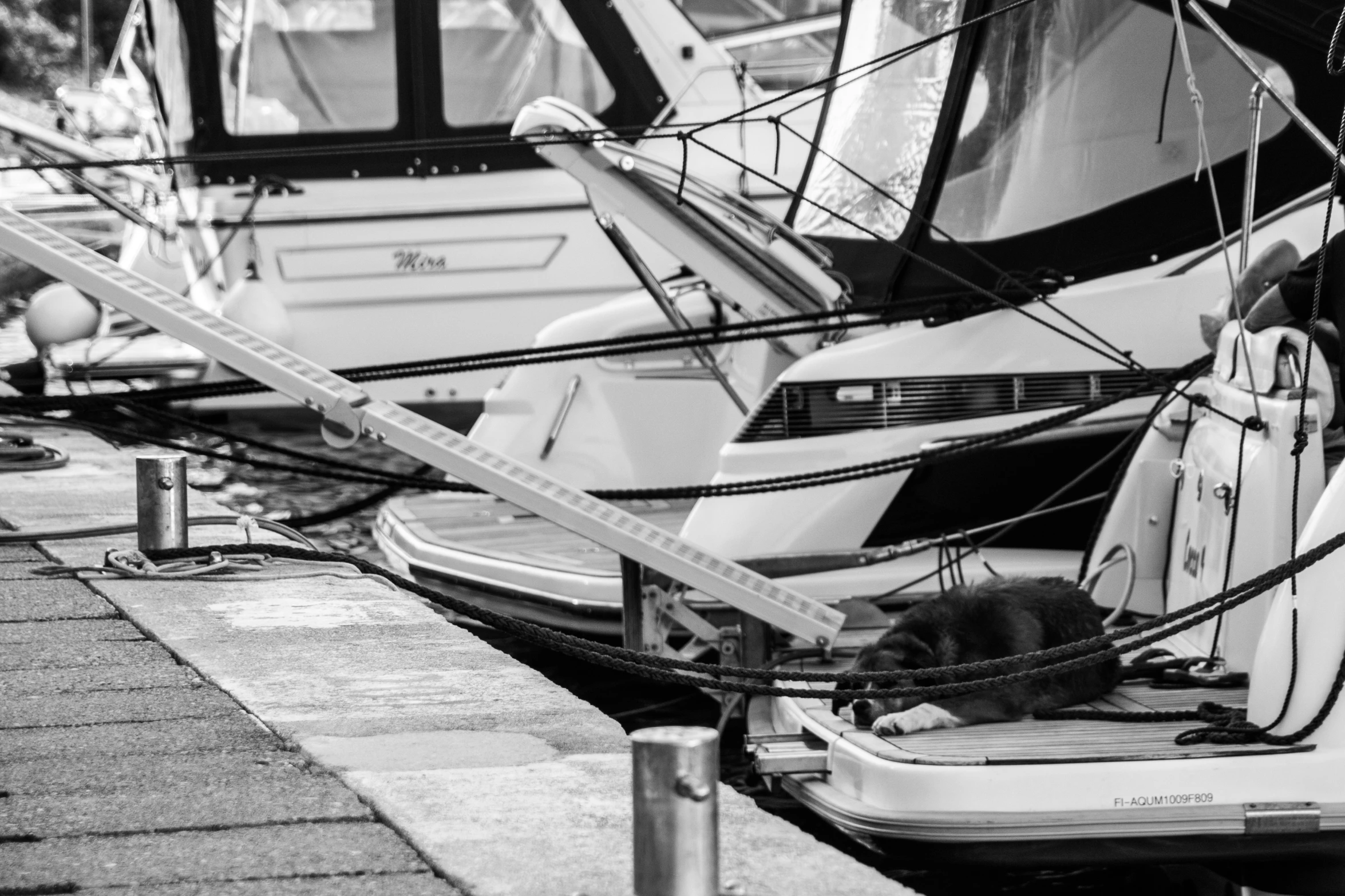 a black and white image of several small boats