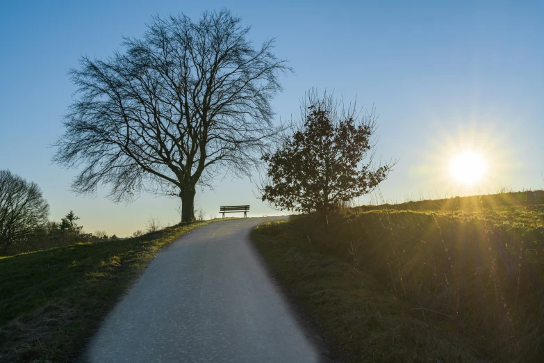 the sun shines brightly through the trees as it stands on the side of a road