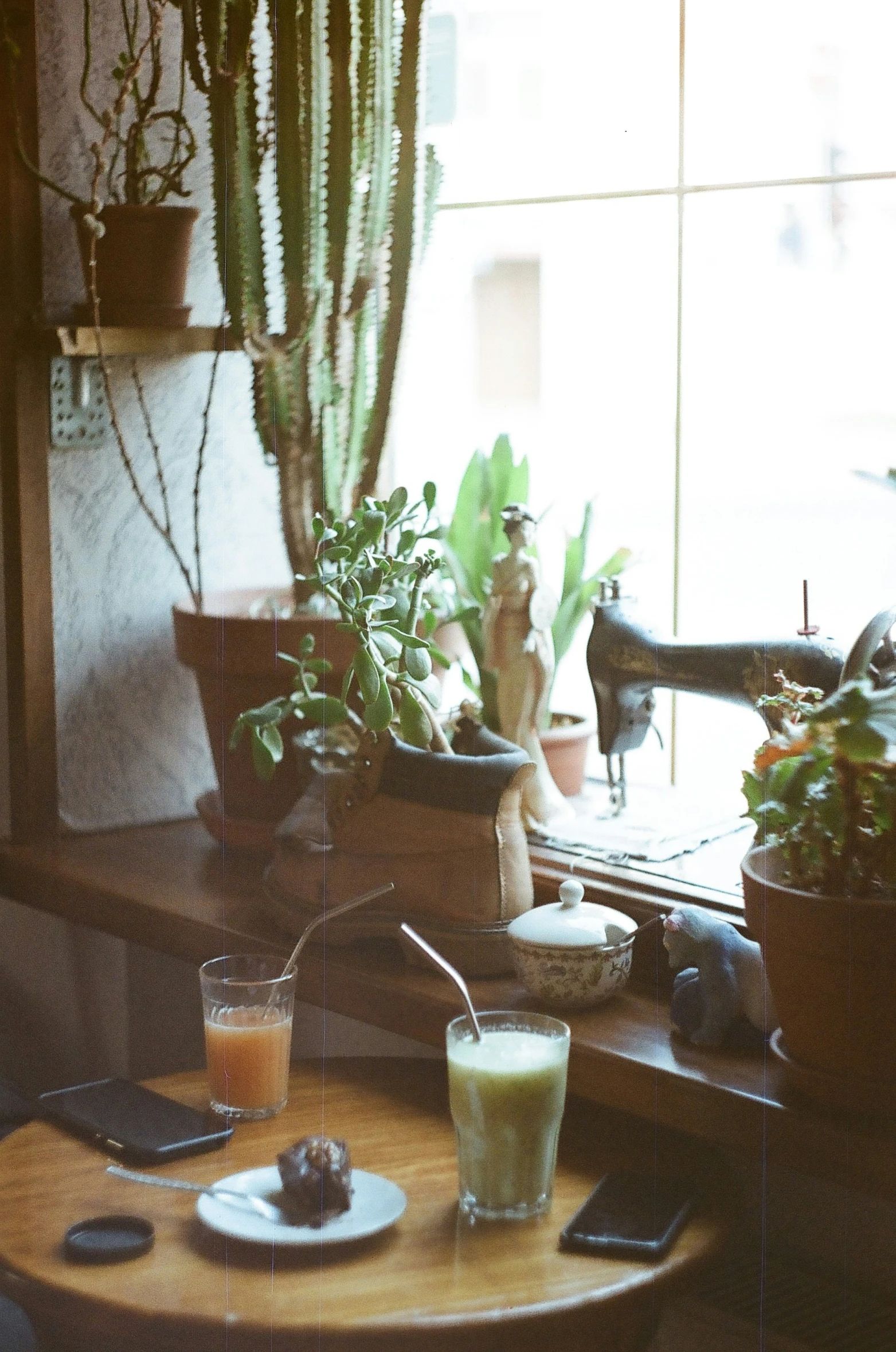 a plate on a table near a window with succulents