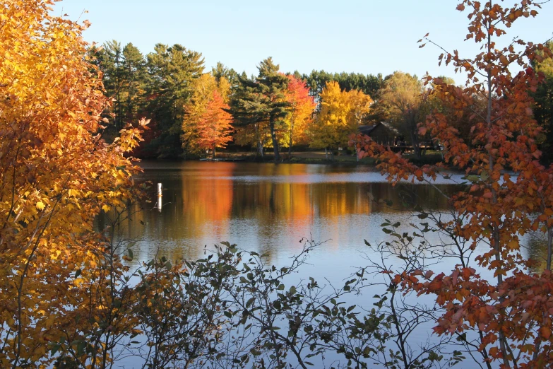 the trees near the water are changing colors