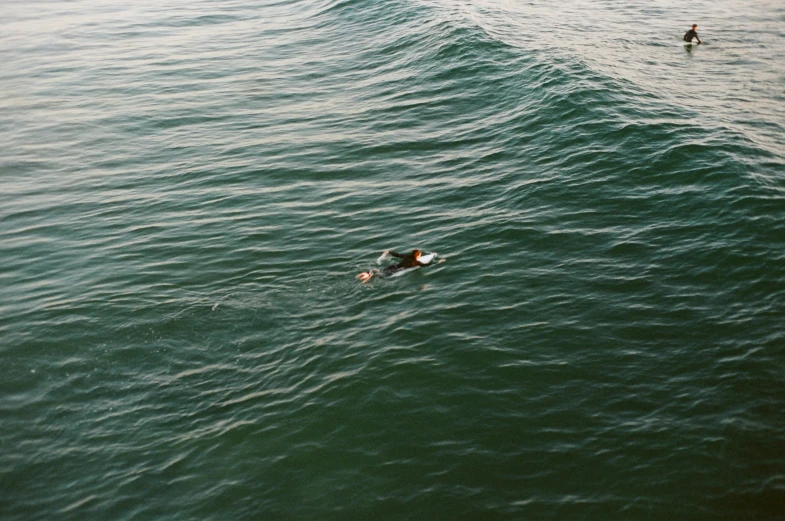 the people are out in the ocean on their own surfboards