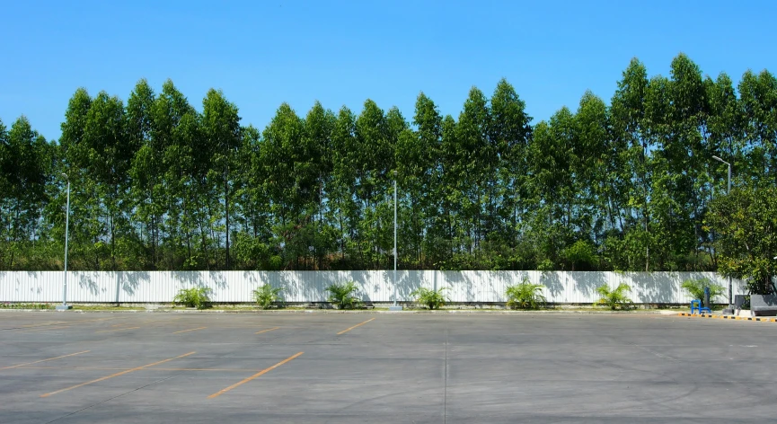 the trees are lined up against a wall