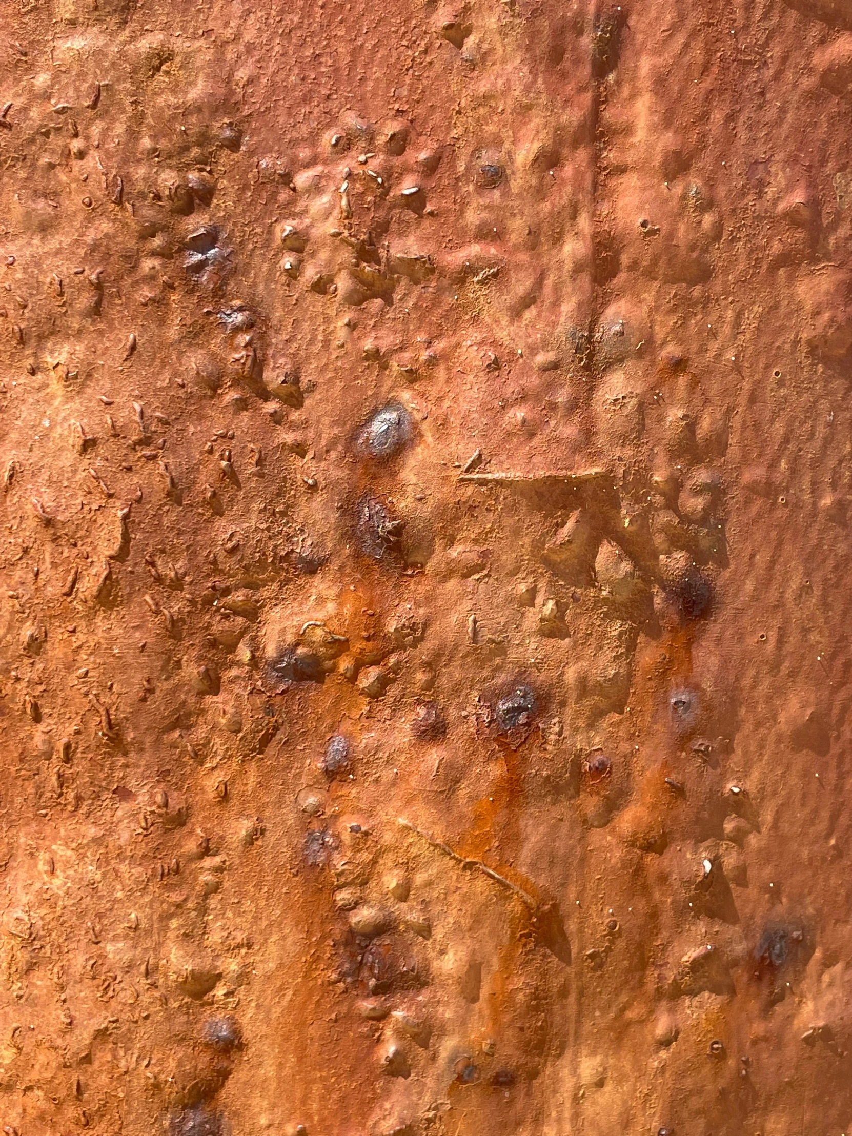 dirt area covered in little rocks and soil