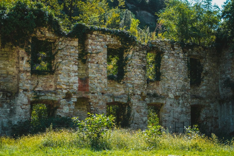 old stone building with plants growing out of the windows