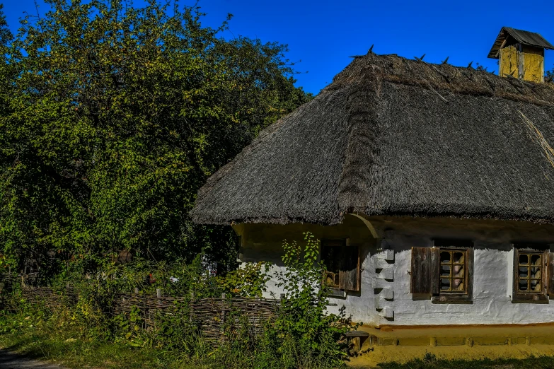 an old house with a thatch roof and plants