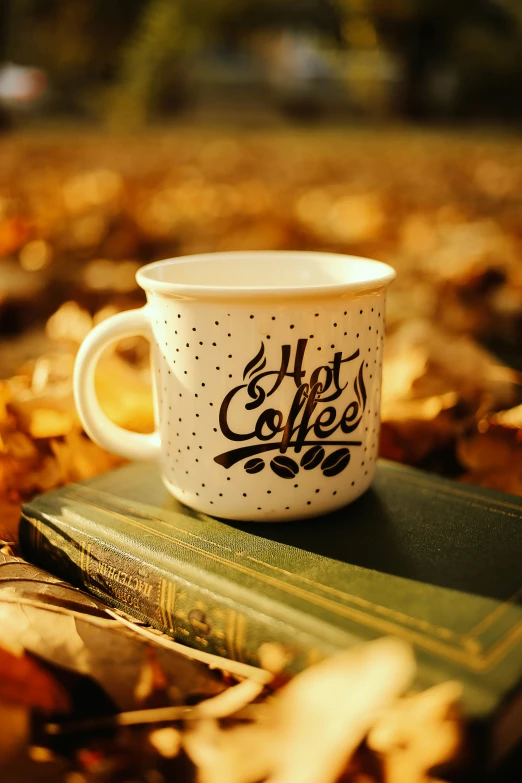 a cup sitting on top of a stack of books