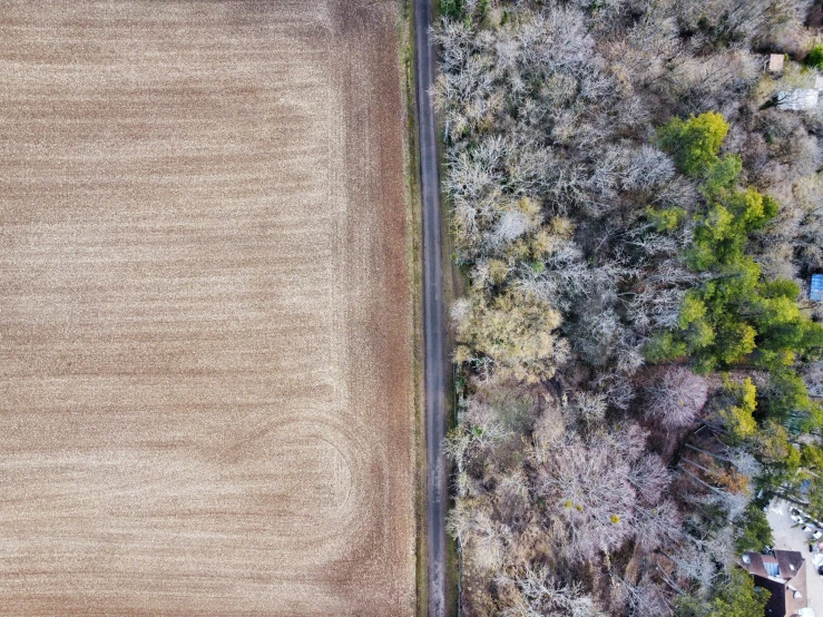 aerial pograph of road in between farmland, from above