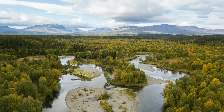 the landscape shows a river surrounded by trees