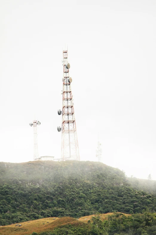 a high tech tower sitting in the middle of a forest