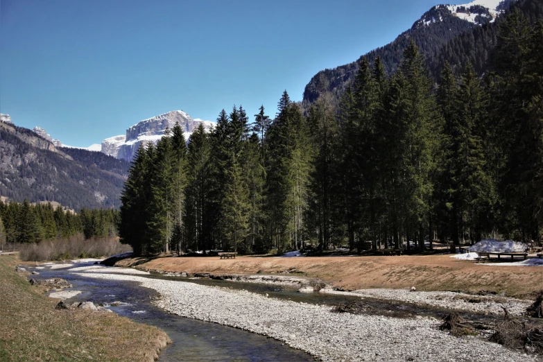 a stream flowing in a forest with snow covered mountains in the background