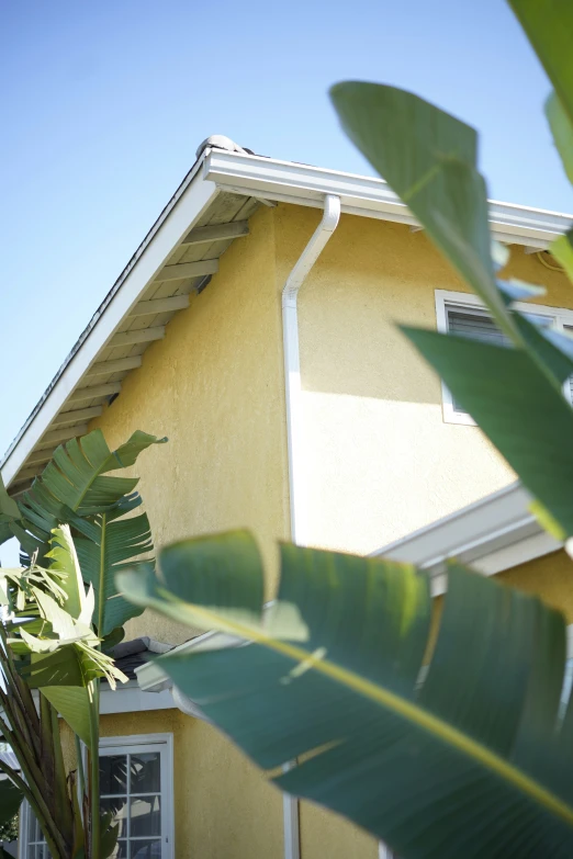 the back of a house that has a bird perched on the roof