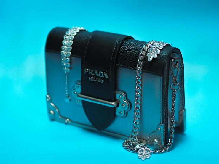 this black purse has lots of silver accents