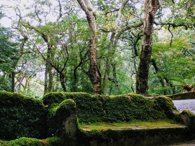 a bench made out of cement sitting in the middle of a forest