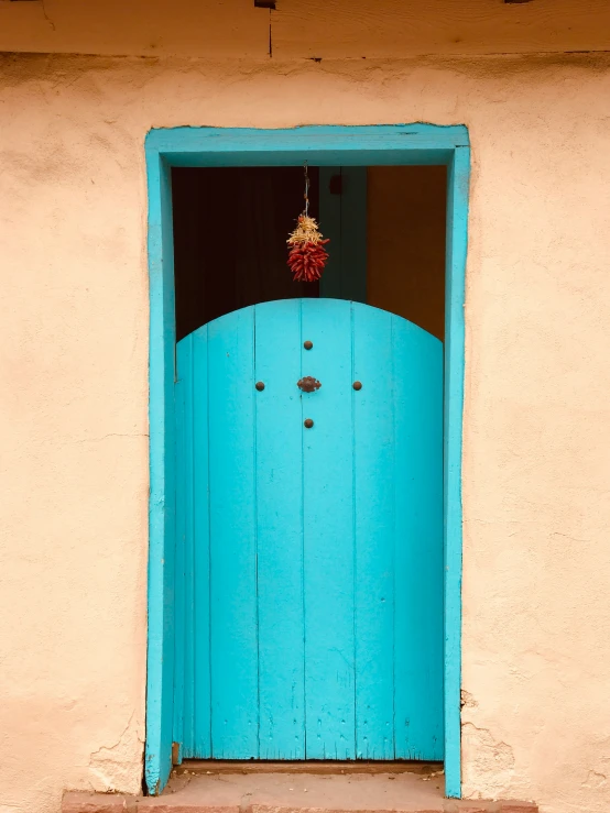 blue door with flower pot hanging from it