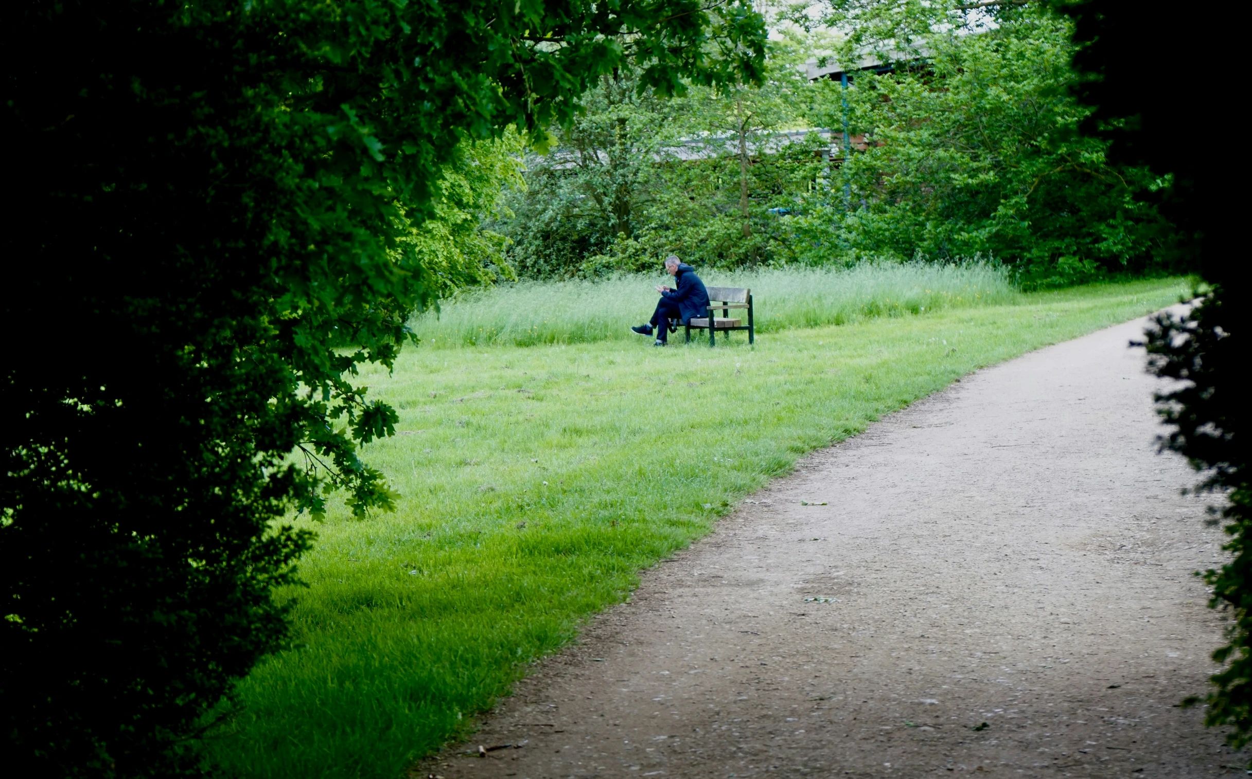 a person sitting on a bench in the middle of a field