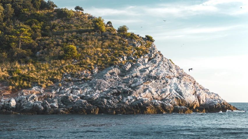 some birds flying over the surface of an ocean with a mountain behind