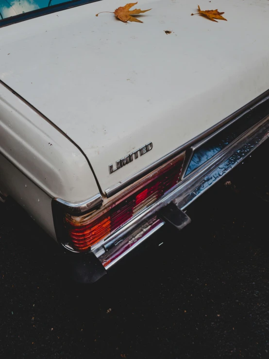 the back end of an old car that is white and has brown leaves on it