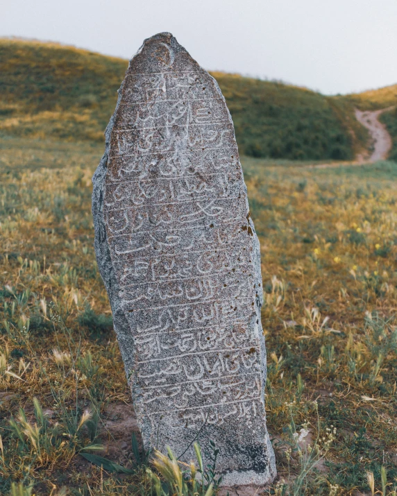 a rock in a field has the writing written on it