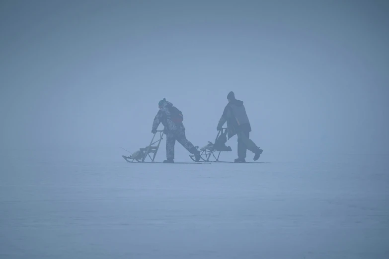 two people walking their dog in the snow