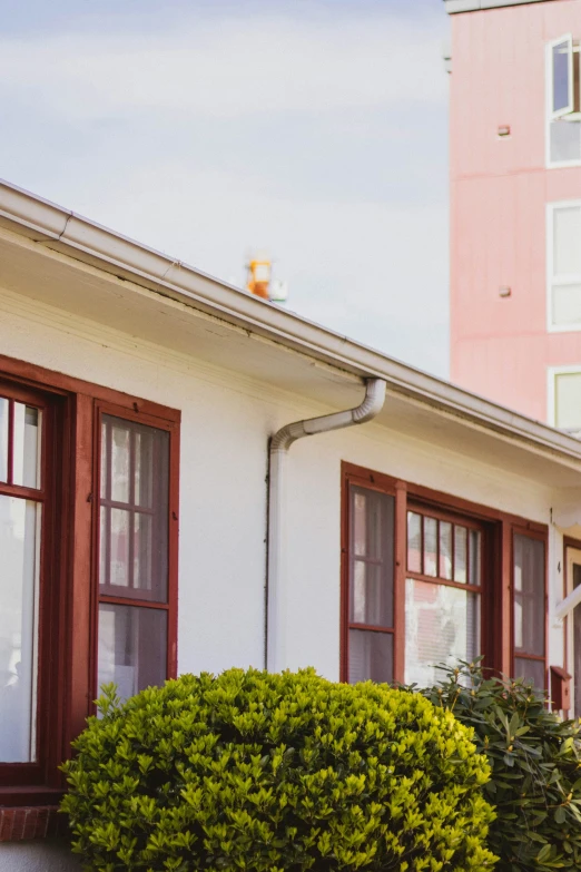 a cat is perched on the roof of a house