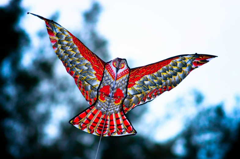 a kite with red designs flying in the sky