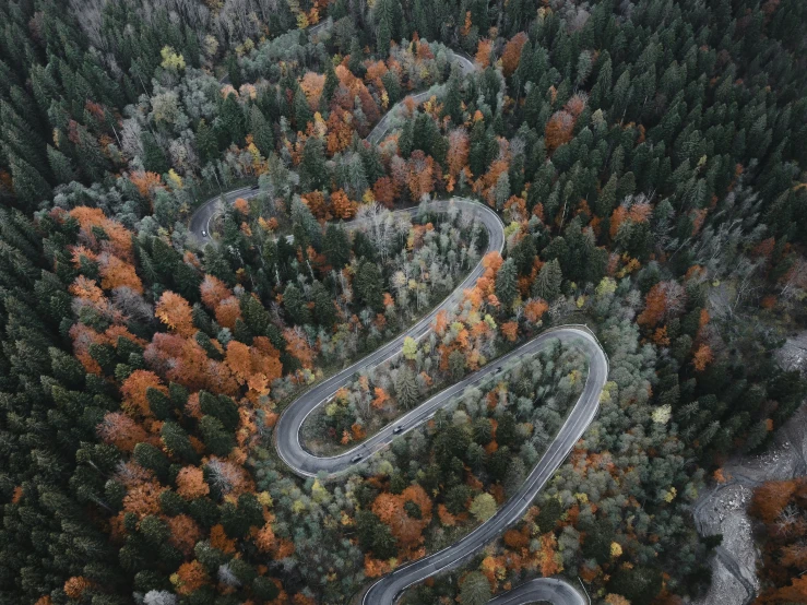 an overhead view of the road in the middle of the woods