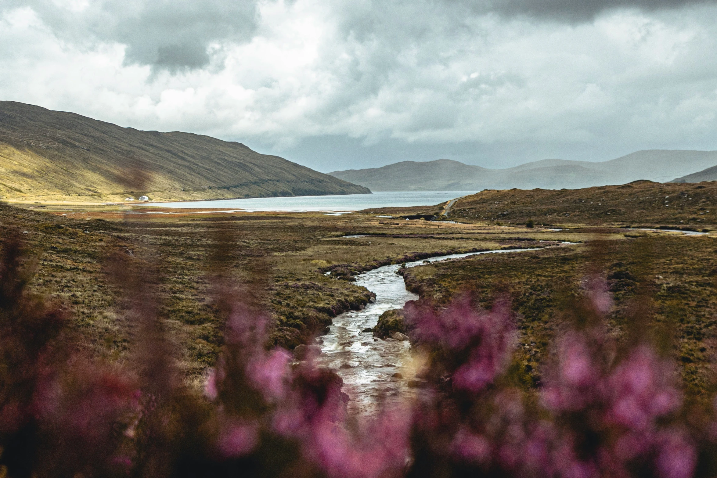 a small river in the middle of an empty valley